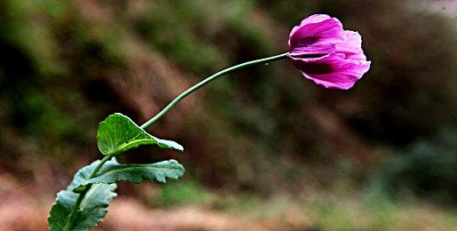 《星际公民》众筹5.7亿美元 新视频展示战斗机狂怒